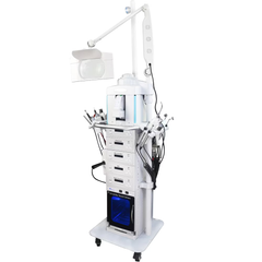 Aparat Cosmetic Profesional 19in1 FACIALJet Indepartare Puncte Negre, Dermoabraziune, Curatare, Hidratantare, Lifting Saloane, Indepartarea Acneei, Ultrasunete, RF Ziilo